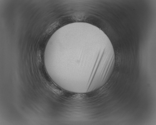 X0000076350128200610201810