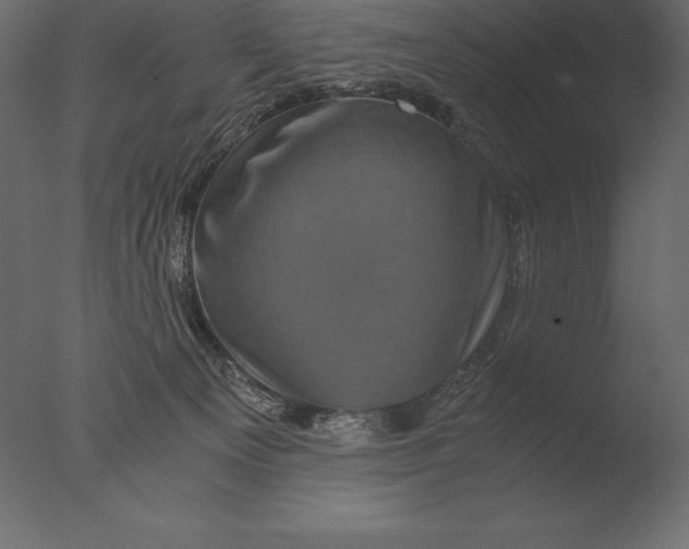 X0000076350129200610201810