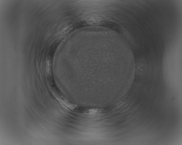 X0000076350130200610201810