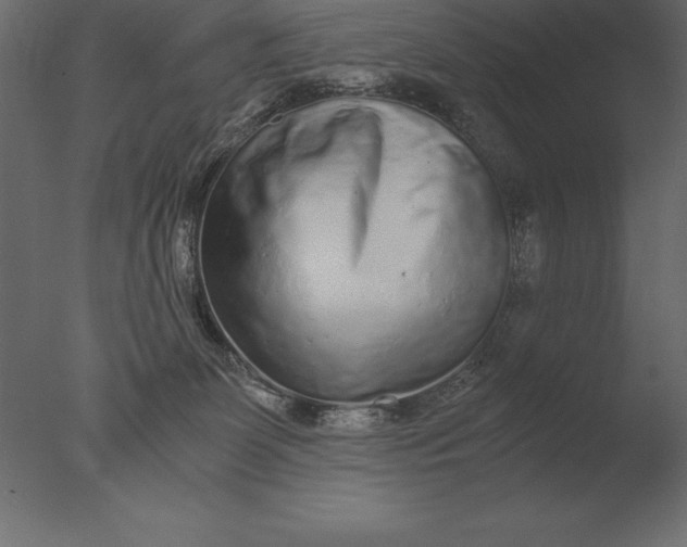 X0000076350131200610201810