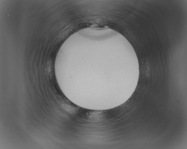 X0000076350132200610201810