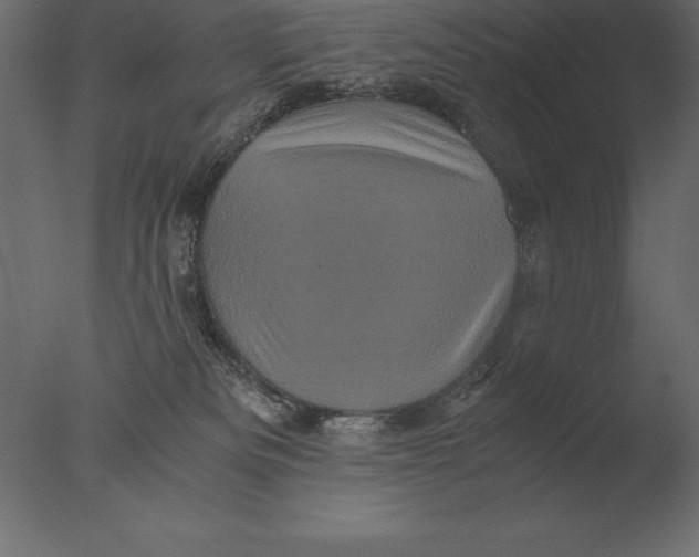 X0000076350133200610201810