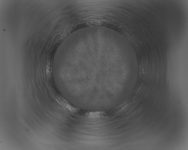 X0000076350134200610201810