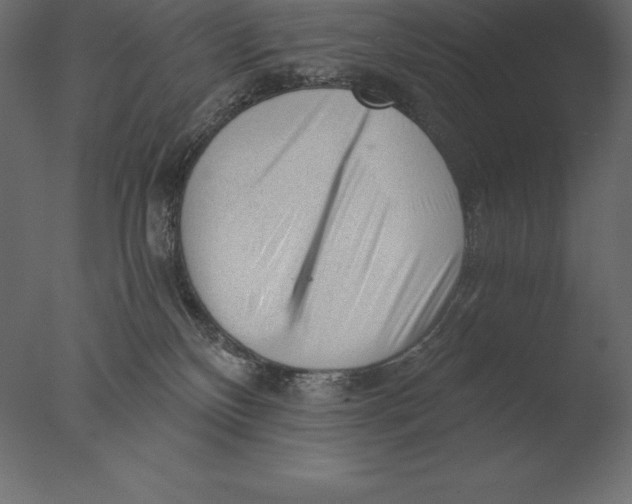 X0000076350136200610201810