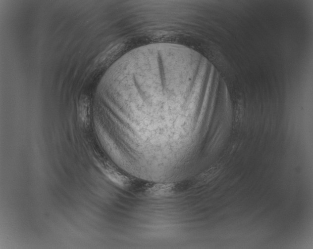 X0000076350138200610201810