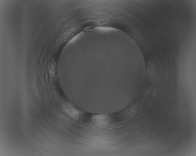 X0000076350139200610201810