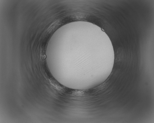 X0000076350140200610201810