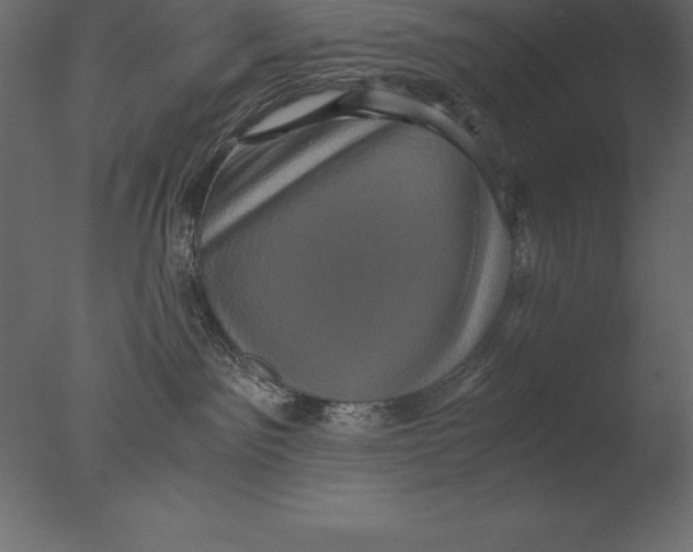 X0000076350141200610201810