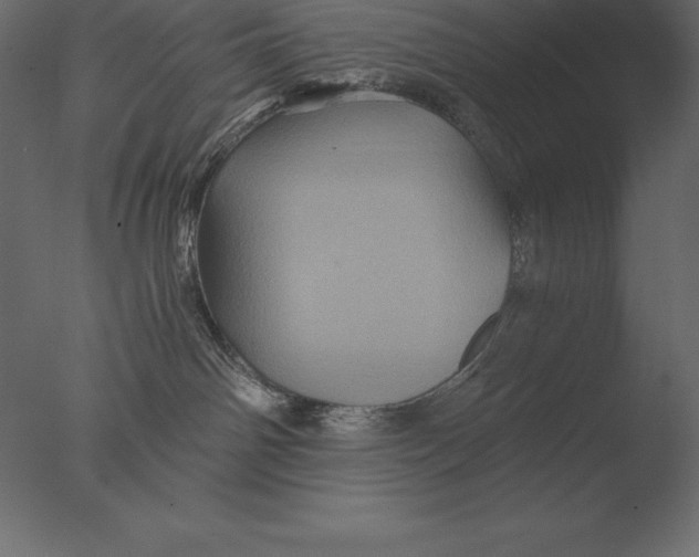 X0000076350142200610201810