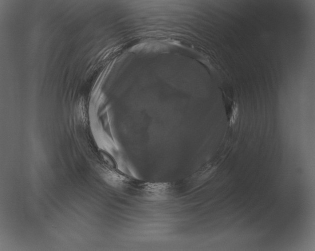 X0000076350143200610201810