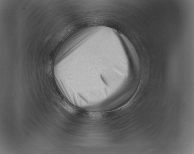 X0000076350144200610201810