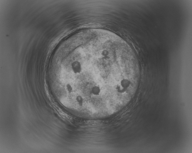 X0000076350145200610201809