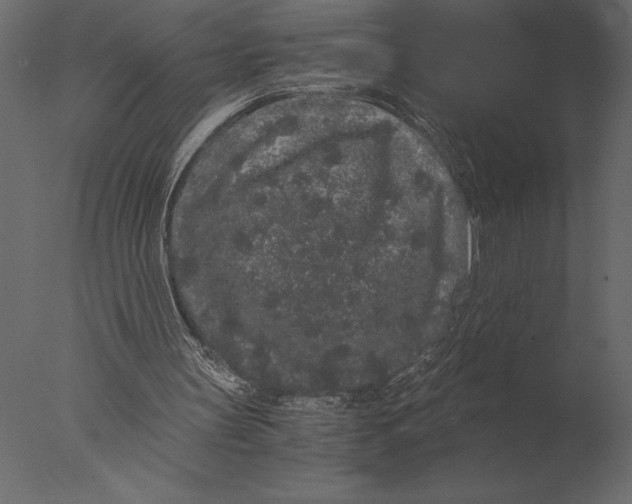 X0000076350147200610201809