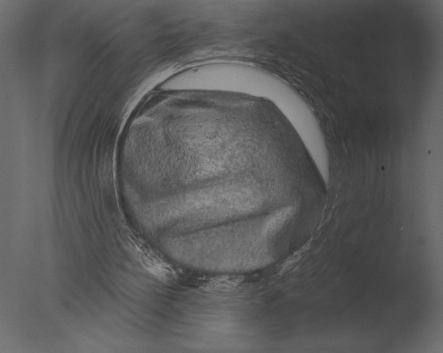 X0000076350148200610201809