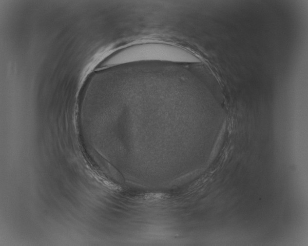 X0000076350152200610201809