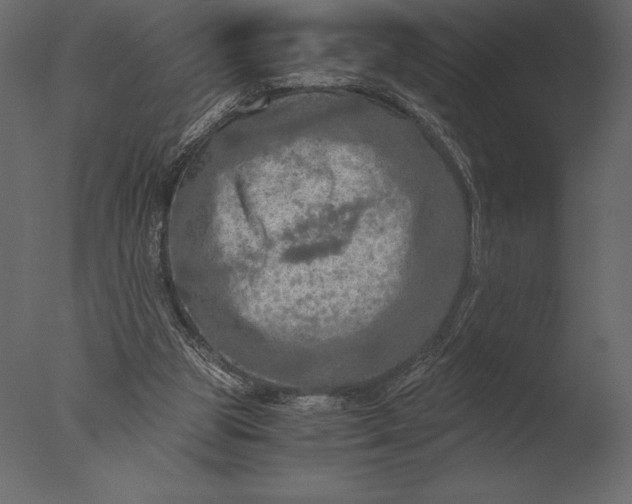 X0000076350153200610201809