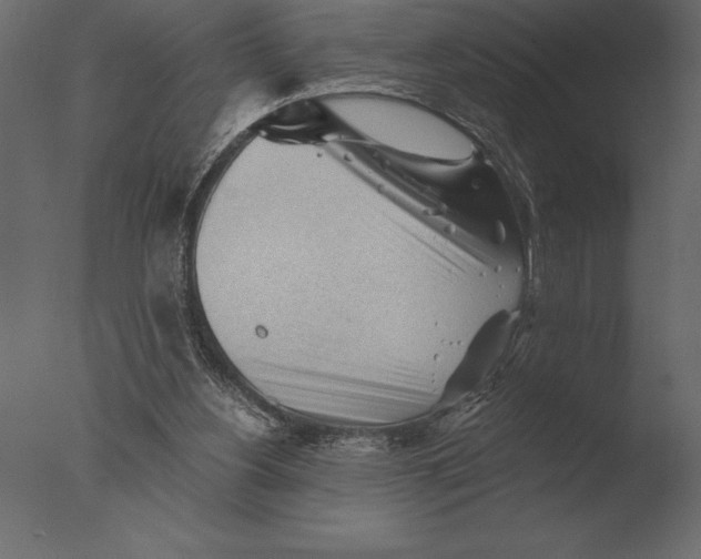 X0000076350156200610201809