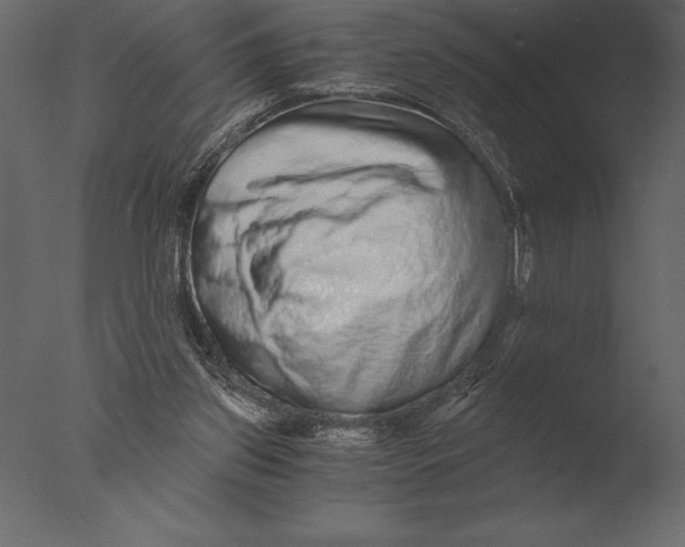 X0000076350157200610201809