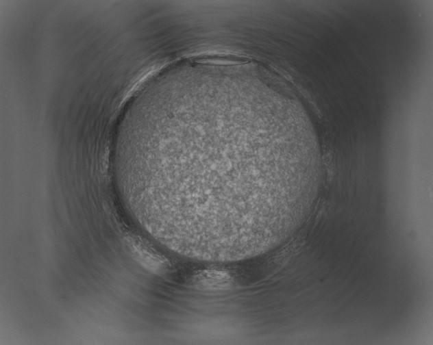 X0000076350159200610201809