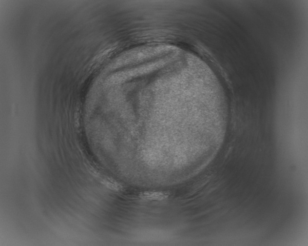 X0000076350161200610201809