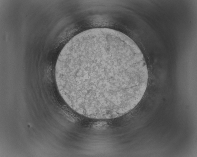 X0000076350162200610201809