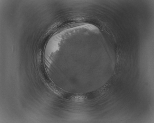 X0000076350163200610201809