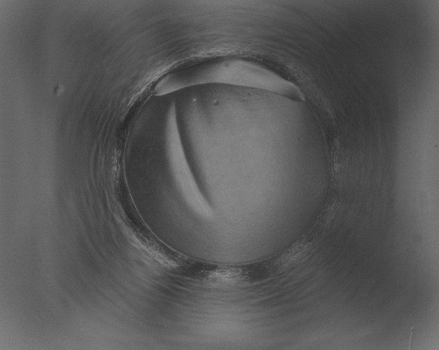 X0000076350164200610201809