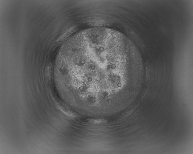 X0000076350165200610201809