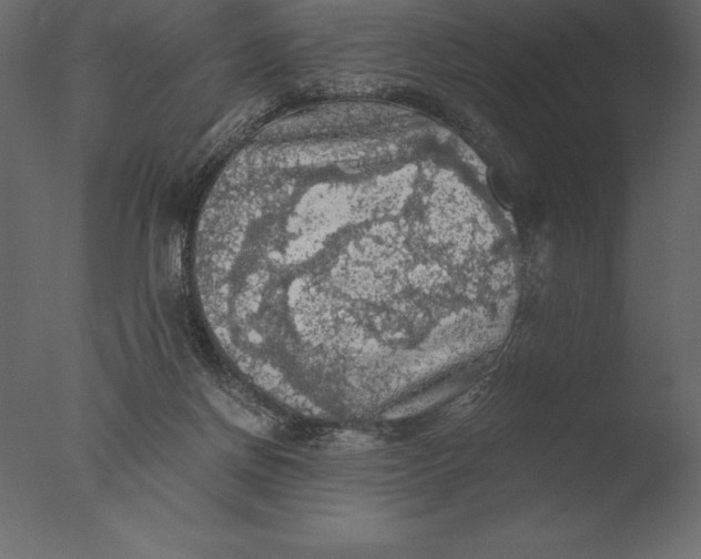 X0000076350166200610201809