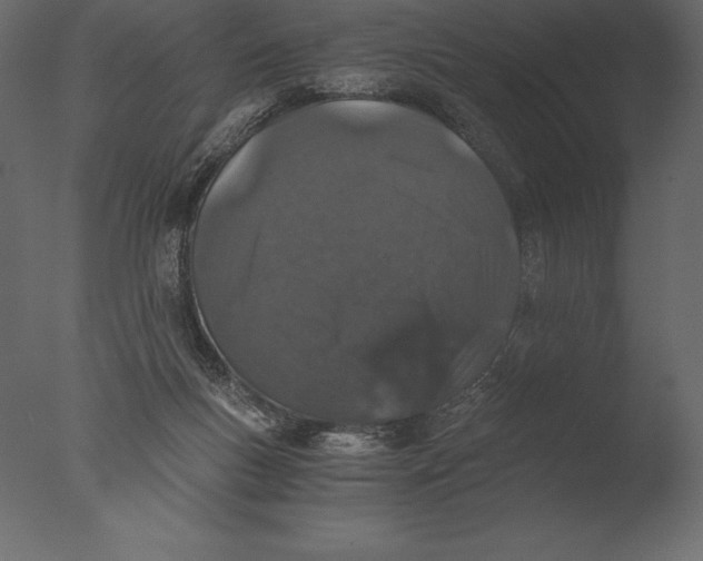 X0000076350167200610201809