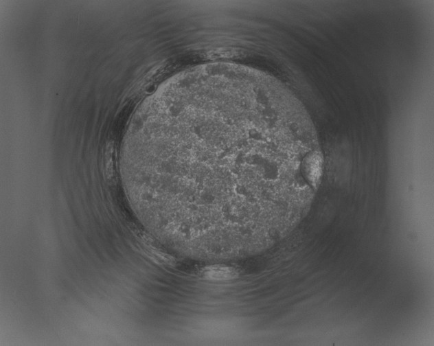 X0000076350169200610201809