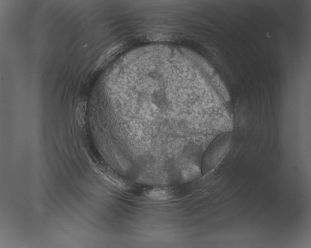 X0000076350171200610201809