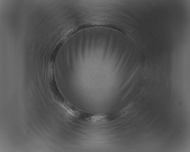 X0000076350172200610201809