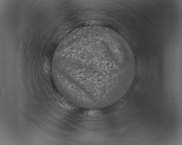 X0000076350173200610201810