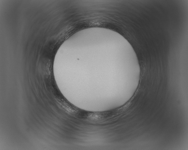 X0000076350174200610201810