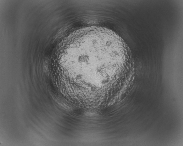 X0000076350175200610201810