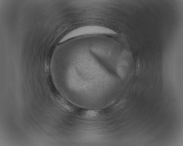 X0000076350176200610201810