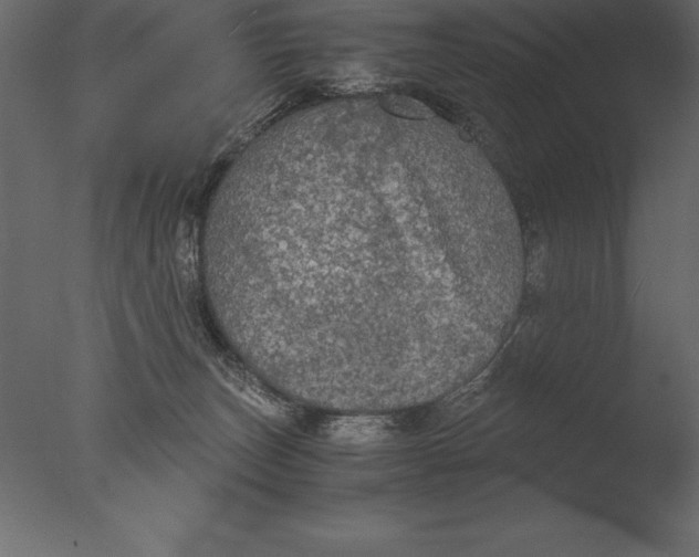 X0000076350179200610201810