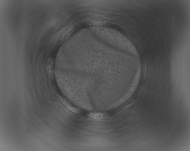 X0000076350181200610201810