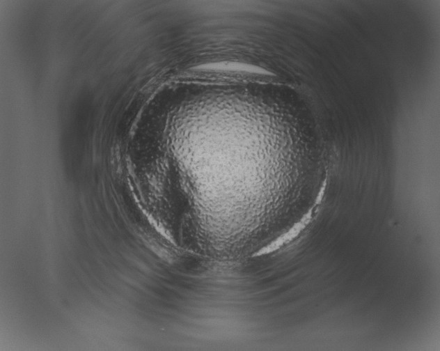 X0000076350182200610201810