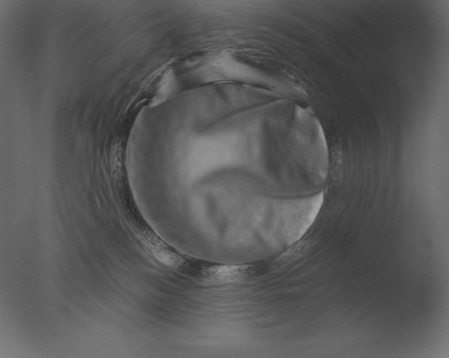 X0000076350184200610201810