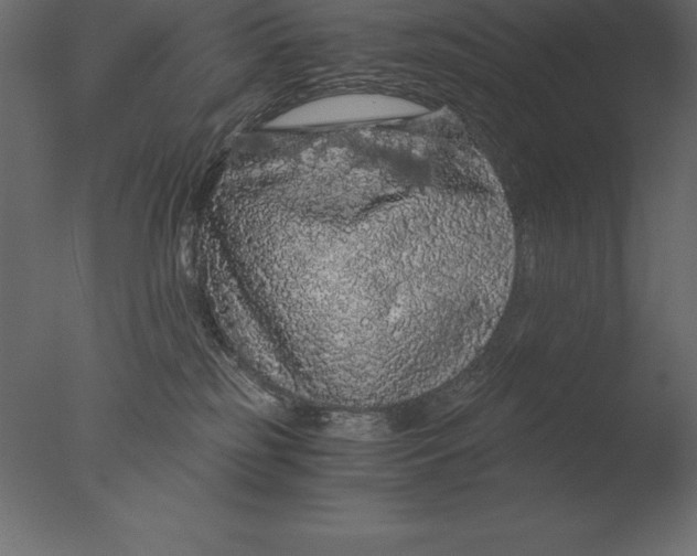 X0000076350185200610201810