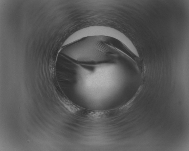 X0000076350186200610201810