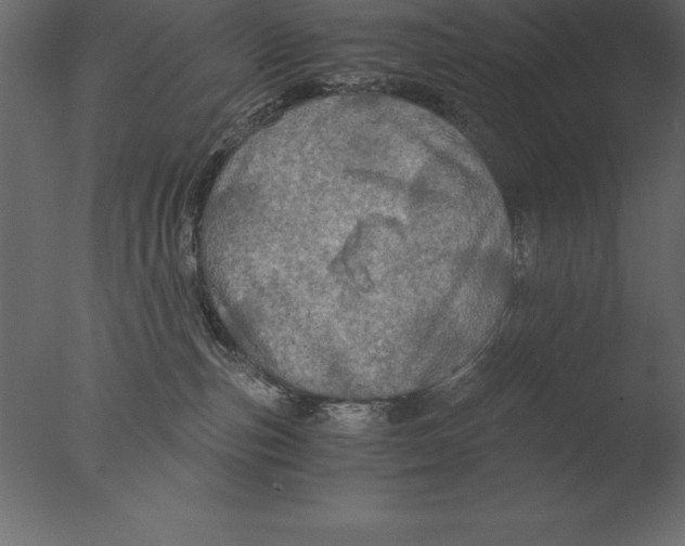 X0000076350187200610201810