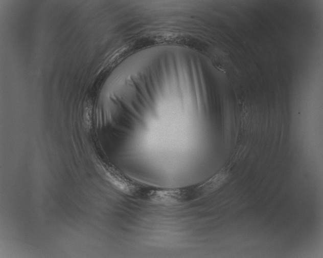 X0000076350188200610201810