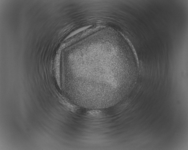 X0000076350189200610201810