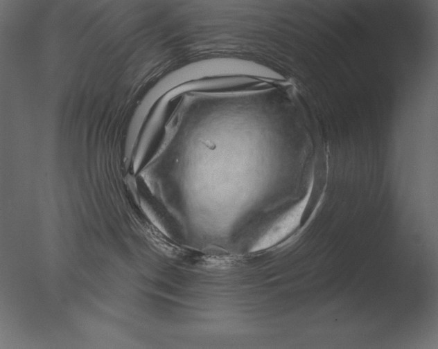 X0000076350190200610201810