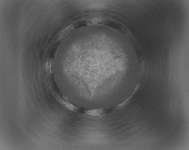 X0000076350191200610201810