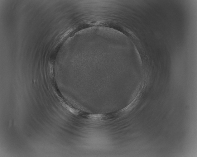 X0000076350192200610201810