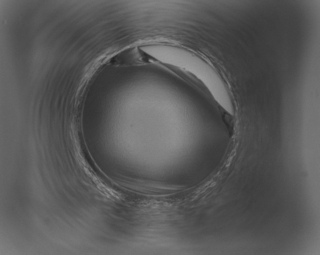 X0000076350193200610201809